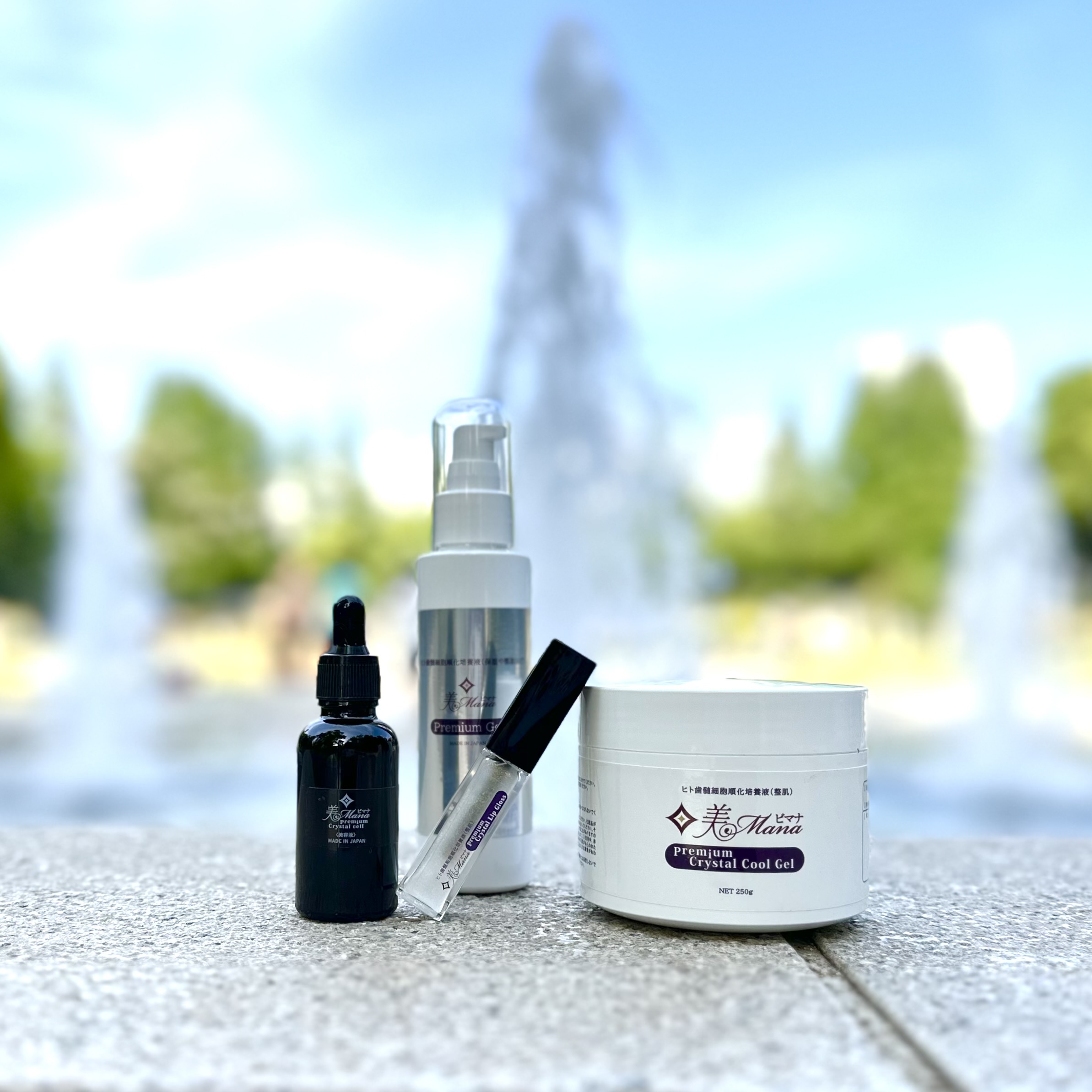 取扱い商品の写真